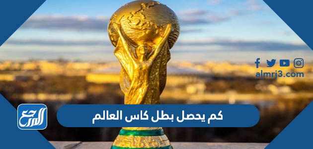 كم يحصل بطل كاس العالم