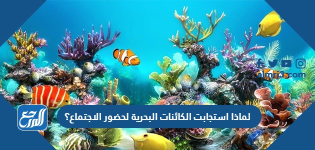 لماذا استجابت الكائنات البحرية لحضور الاجتماع؟