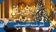 ما أصل شجرة الكريسماس وما اسمها