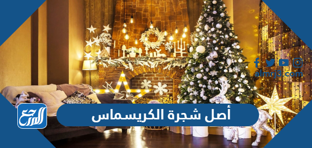 ما أصل شجرة الكريسماس وما اسمها
