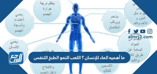 ما أهميه الماء للإنسان ؟ اللعب النمو الطبخ التنفس