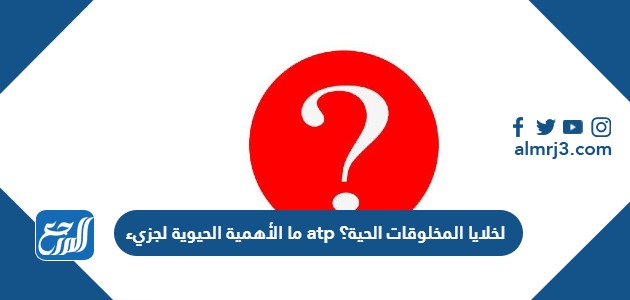 ما الأهمية الحيوية لجزيء atp لخلايا المخلوقات الحية؟