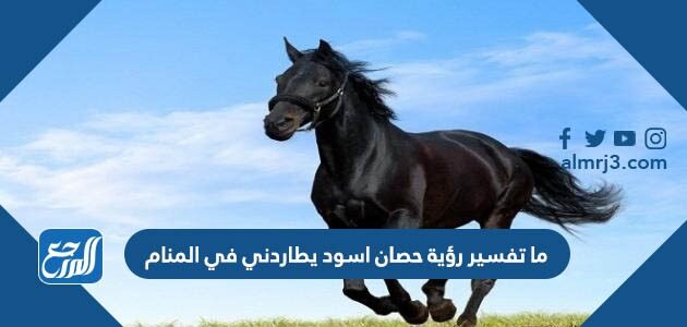 ما تفسير رؤية حصان اسود يطاردني في المنام
