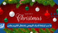 ما سر ارتباط الديك الرومي باحتفال الكريسماس