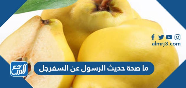ما صحة حديث الرسول عن السفرجل