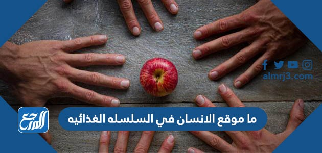 ما موقع الانسان في السلسله الغذائيه