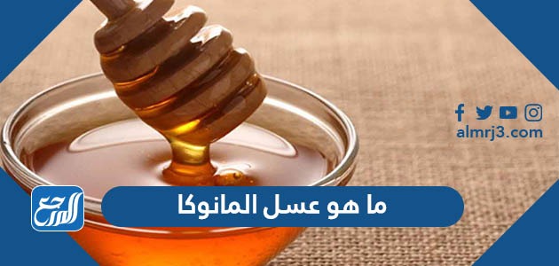 ما هو عسل المانوكا