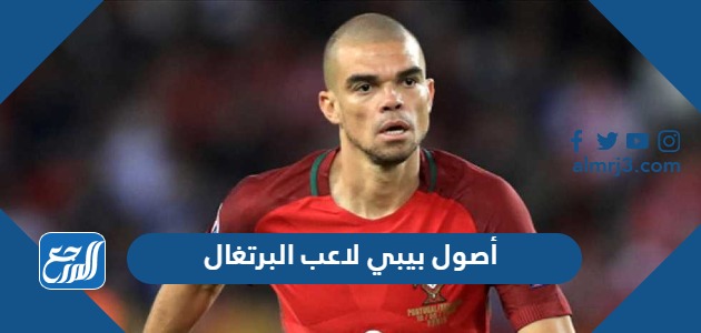 ما هي أصول بيبي لاعب البرتغال