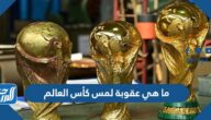 ما هي عقوبة لمس كأس العالم