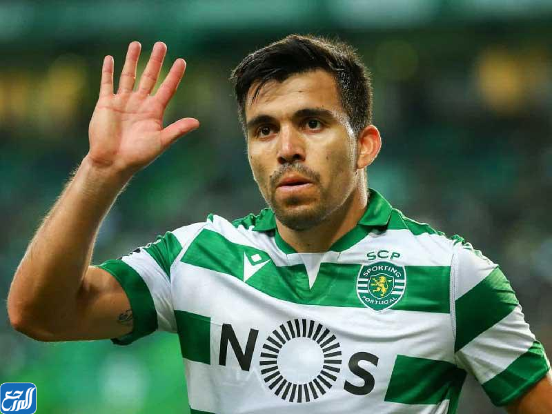 ماركوس أكونيا السيرة الذاتية