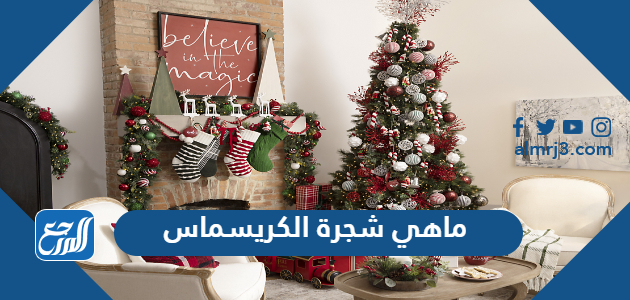 ماهي شجرة الكريسماس وعلى ماذا تدل