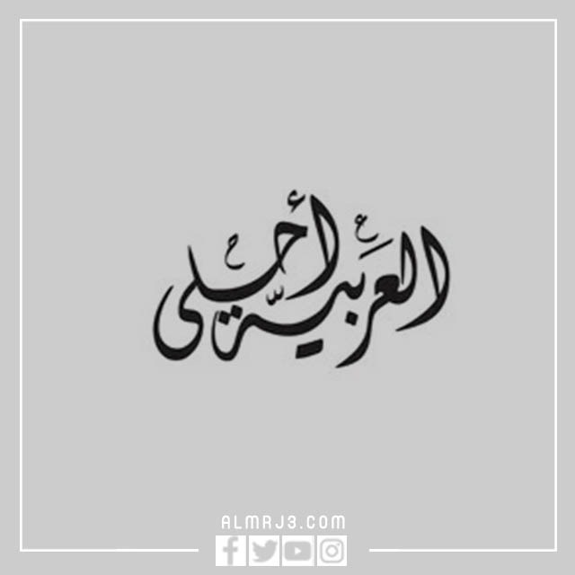 مَخطوطة اليَوم العالمي للّغة العربيّة 1444