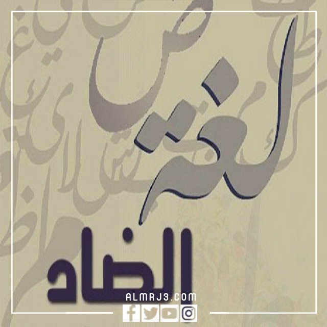 مَخطوطة اليَوم العالمي للّغة العربيّة 1444