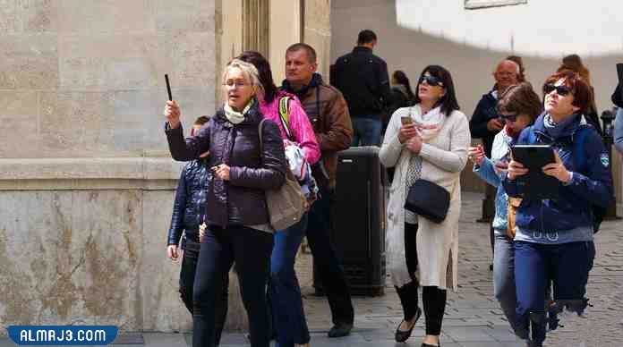 مرشد المدينة