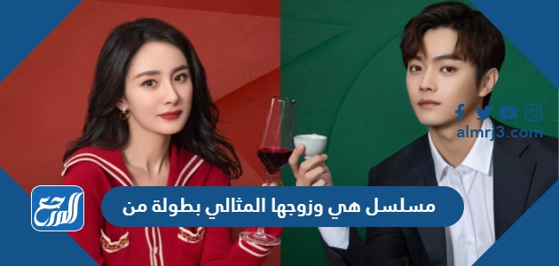 مسلسل هي وزوجها المثالي بطولة من