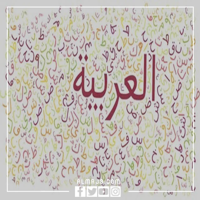 مشاركة اليوم العالمي للغة العربية