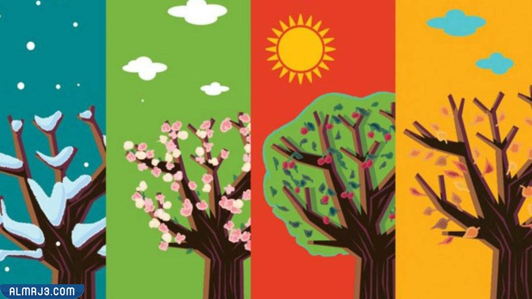 ما هي الفصول الأربعة