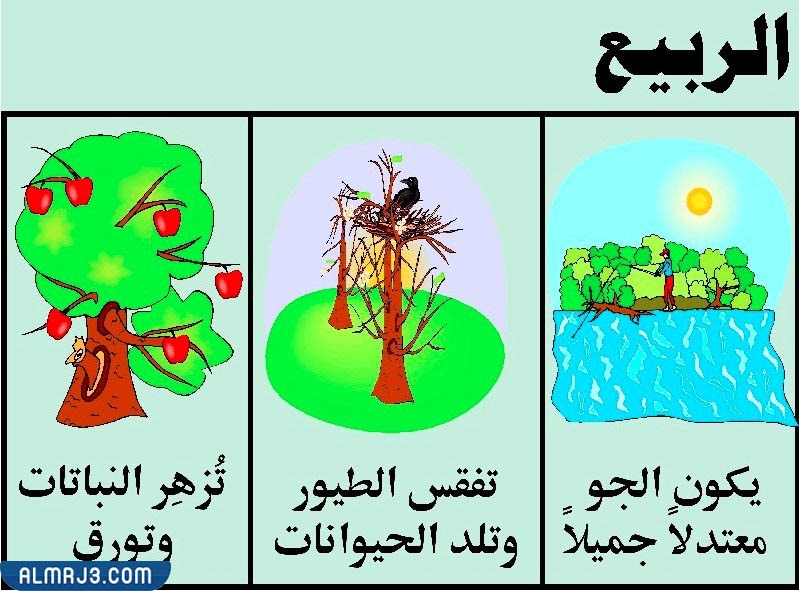 فصل الربيع