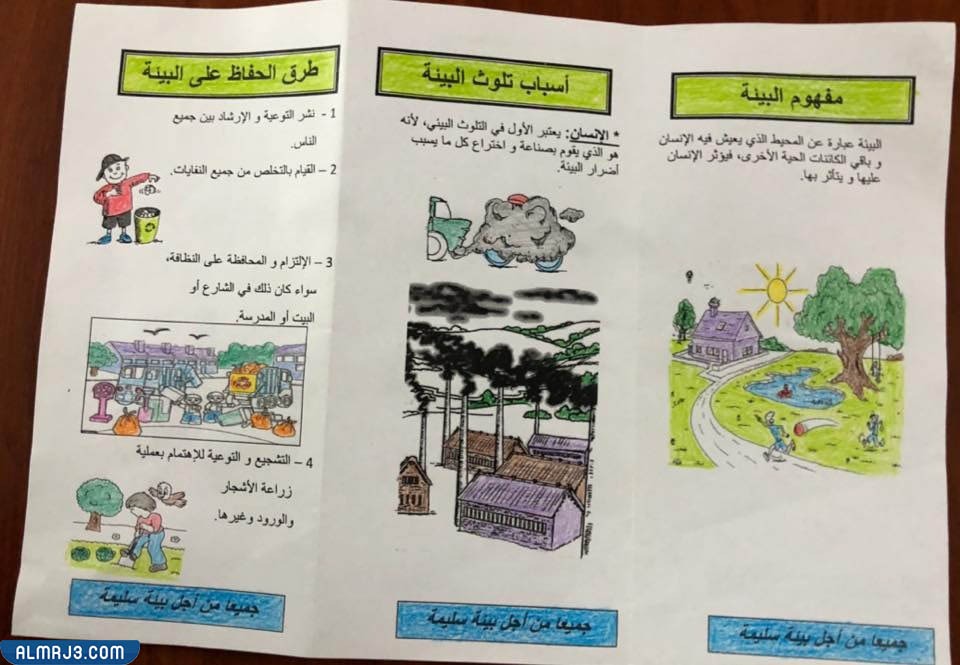 مشاكل النفايات وحلولها