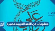 معلومات عن اللغة العربية قصيرة للأطفال