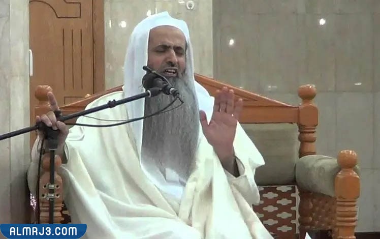 من هو أحمد الحواشي ويكيبيديا