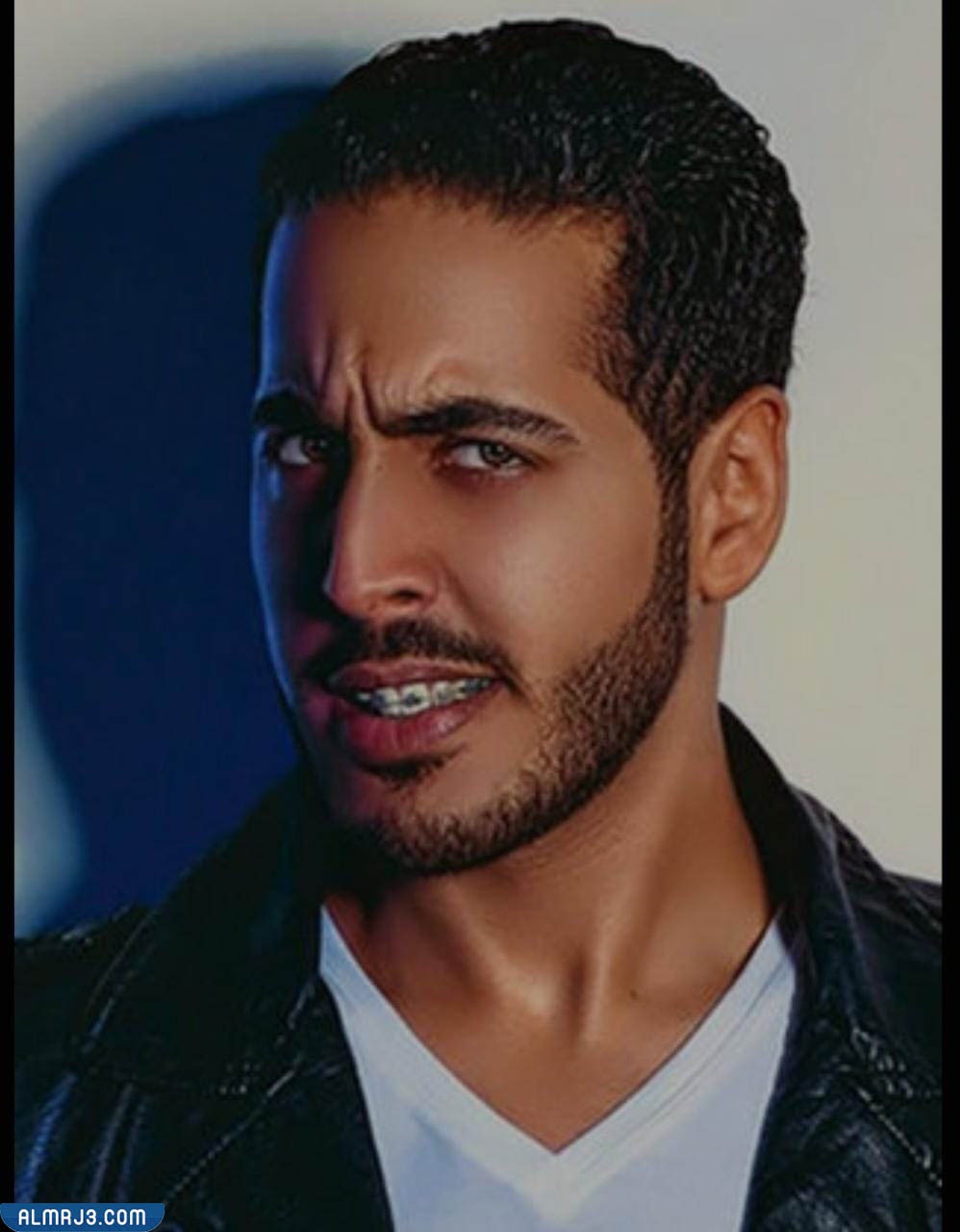 من هو محمد دشتي زوج ابرار ويكيبيديا