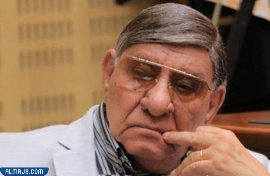 من هو مفيد فوزي ويكيبيديا