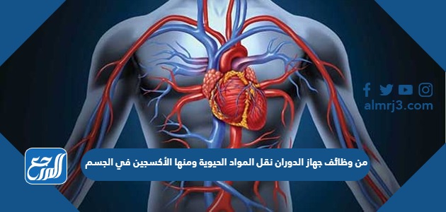 من وظائف جهاز الدوران نقل المواد الحيوية ومنها الأكسجين في الجسم