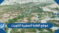 أين موقع الغابة الصغيرة الكويت ومواعيد العمل
