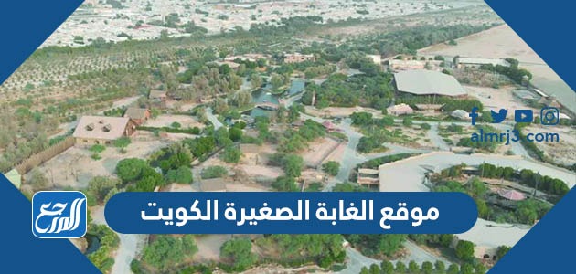 موقع الغابة الصغيرة الكويت