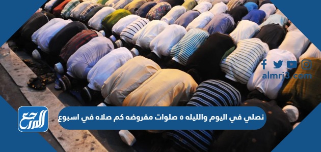 نصلي في اليوم والليله ٥ صلوات مفروضه كم صلاه في اسبوع
