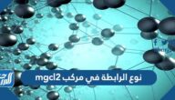 نوع الرابطة في مركب mgcl2