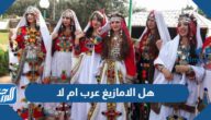 هل الامازيغ عرب ام لا