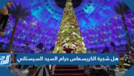 هل شجرة الكريسماس حرام السيد السيستاني