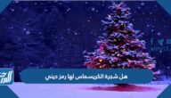 هل شجرة الكريسماس لها رمز ديني وما هو