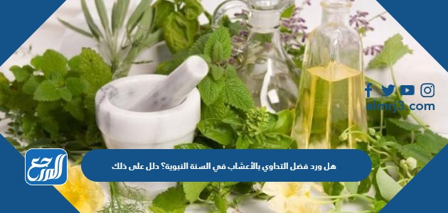 هل ورد فضل التداوي بالأعشاب في السنة النبوية؟ دلل على ذلك