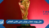 هل يوجد ذهاب واياب في كاس العالم