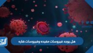 هل يوجد فيروسات مفيده وفيروسات ضاره