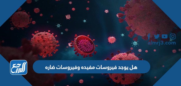 هل يوجد فيروسات مفيده وفيروسات ضاره