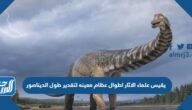 يقيس علماء الاثار اطوال عظام معينه لتقدير طول الديناصور