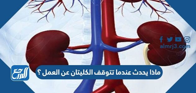 ماذا يحدث عندما تتوقف الكليتان عن العمل ؟