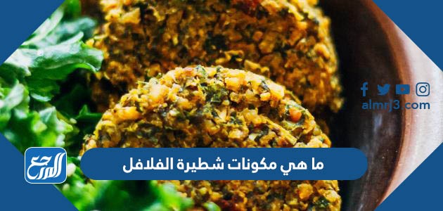 ما هي مكونات شطيرة الفلافل