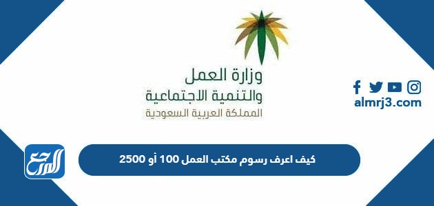 كيف اعرف رسوم مكتب العمل 100 أو 2500
