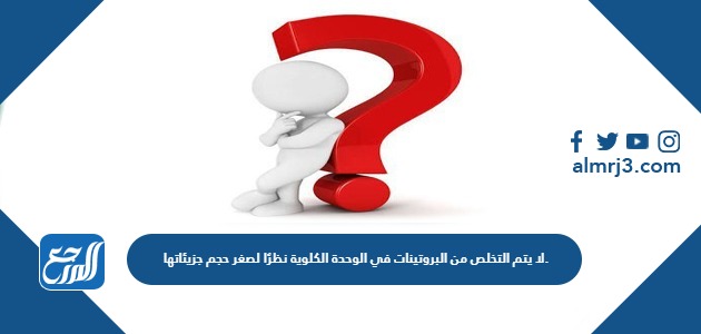 لا يتم التخلص من البروتينات في الوحدة الكلوية نظرًا لصغر حجم جزيئاتها.