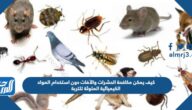 كيف يمكن مكافحة الحشرات والآفات دون استخدام المواد الكيميائية الملوثة للتربة