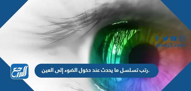 رتب تسلسل ما يحدث عند دخول الضوء إلى العين.