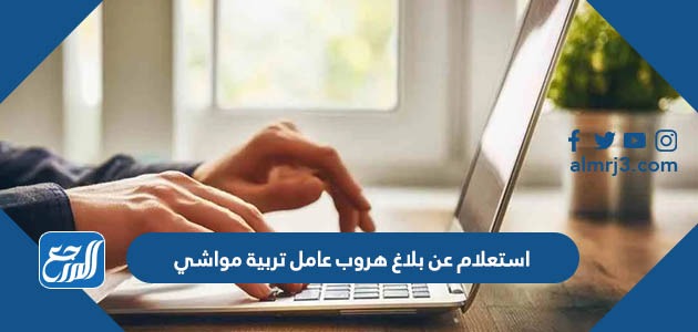 استعلام عن بلاغ هروب عامل تربية مواشي