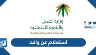 طريقة استعلام عن وافد وزارة العمل 1445 السعودية