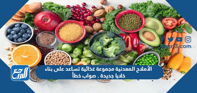 الأملاح المعدنية مجموعة غذائية تساعد على بناء خلايا جديدة . صواب خطأ