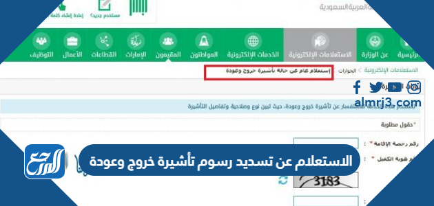 الاستعلام عن تسديد رسوم تأشيرة خروج وعودة